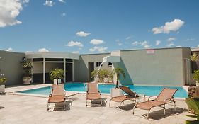 Bristol Exceler Campo Grande